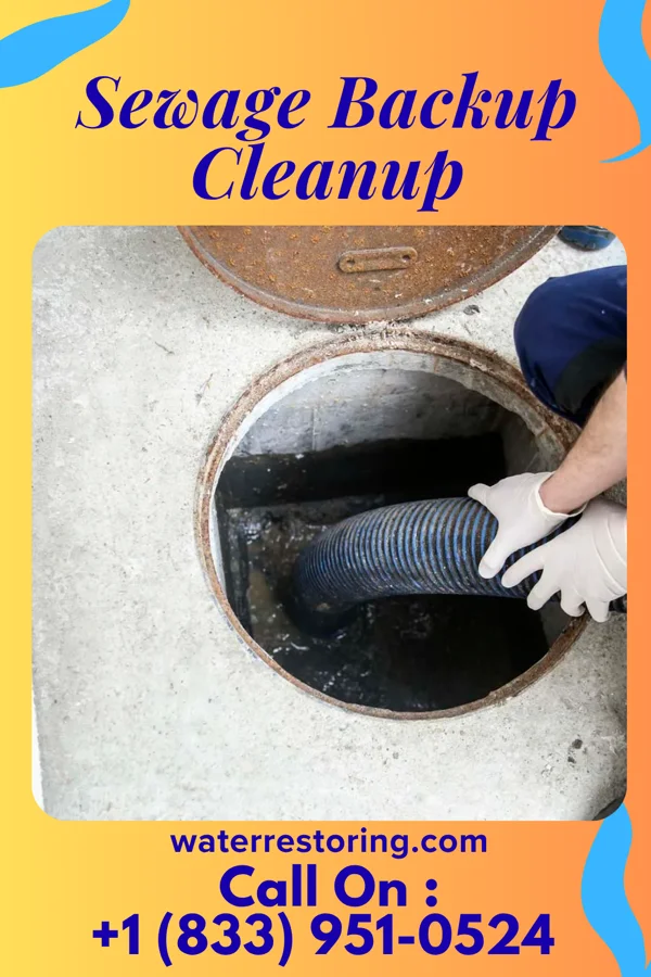 Sewage Backup Cleanup in Cayuga, OK